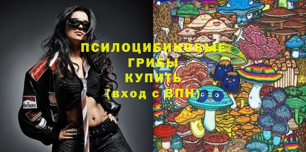 шишки Абинск